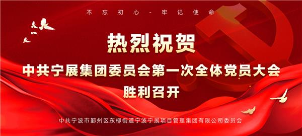 新征程 新使命丨宁展集团（斯正咨询）党总支升格为党委！首届“两委”选举圆满完成